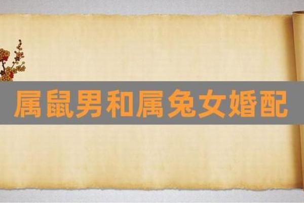属兔男最佳婚配属相 属兔男最佳婚配属相是什么生肖 属兔男最佳婚配属相 属兔男最佳婚配属相是什么生肖
