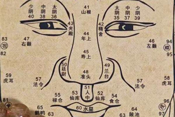 免费八字测官运和官位_免费八字测官运和官位哪个准 免费八字测官运和官位_免费八字测官运和官位哪个准