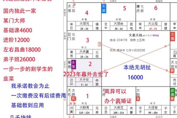 2025年3月8日寅时男命紫微斗数全解盘 2025年3月8日寅时男命紫微斗数全解盘