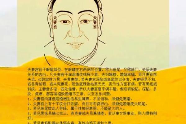 夫妻宫解析揭示自身还是对方命运的关键