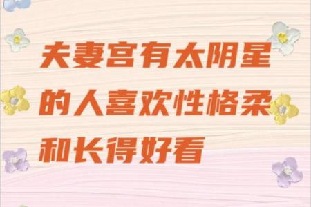 夫妻宫有太阴揭秘婚姻运势与情感走向