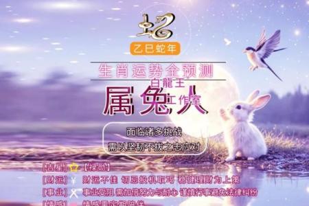 2025结婚最好六个日子鼠兔
