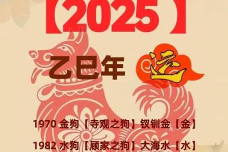 属狗2025年运势及运程 2025年属狗运势详解全年运程大揭秘