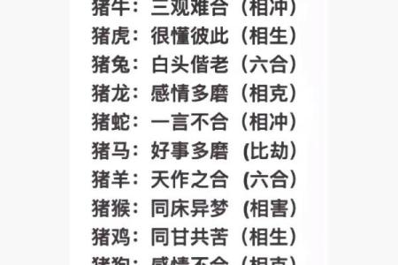 属马的和属猪的适合做夫妻吗 属马的和属猪的能合得来吗