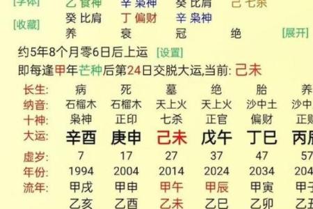 大限化忌冲命宫 大限化忌冲命宫命理解析与应对策略