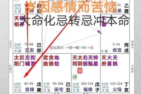 大限太阳化忌_大限太阳化忌命理解析与应对策略