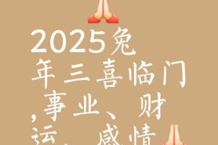 2025属兔的全年运势_2025属兔的全年运势详解