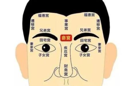 福德宫各星详解_福德宫重要