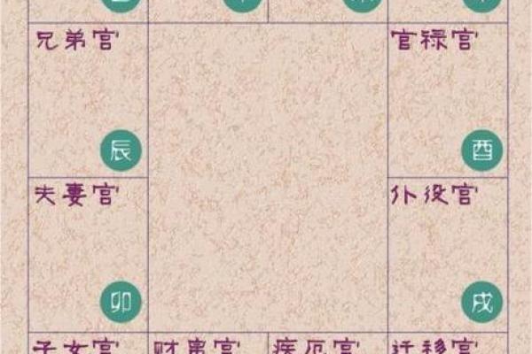 2025年2月23日丑时女命紫微斗数全解盘