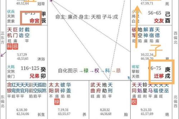 2025年2月23日丑时女命紫微斗数全解盘