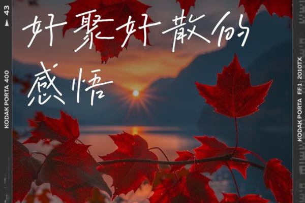 缘分的经典短句 缘分的经典短句触动心灵的缘分语录精选