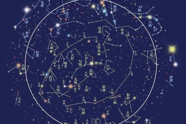 福德宫天魁_福德宫天魁星