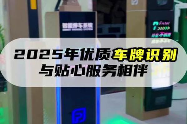 2025年新车牌有什么政策支持
