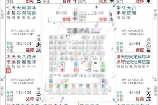 2025年2月25日子时女命紫微斗数全解盘