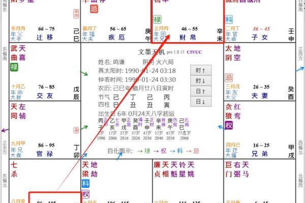 2025年3月9日子时男命紫微斗数全解盘