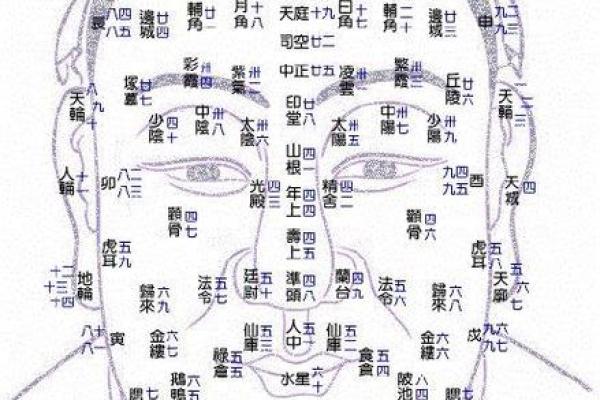 夫妻宫在哪里 夫妻宫位置解析如何找到你的婚姻宫位