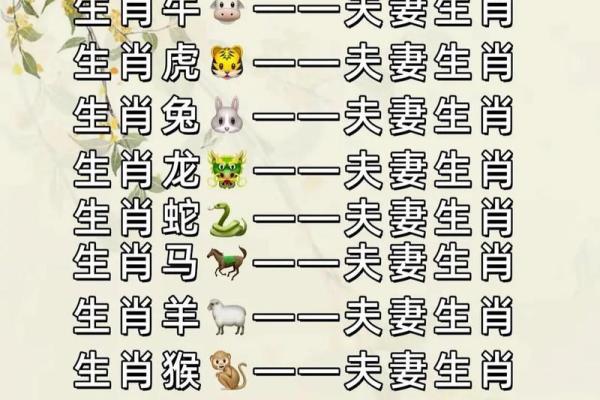 属兔的最佳配偶属相_属兔的最佳配偶属相有哪些