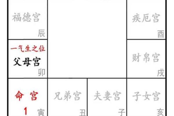 夫妻宫己亥解析命理中的婚姻奥秘