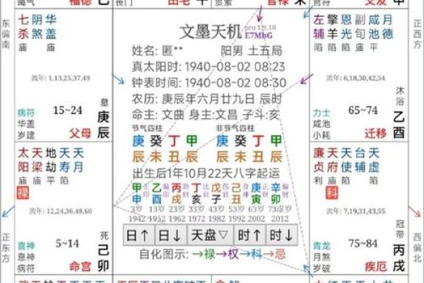 2025年3月22日丑时男命紫微斗数全解盘