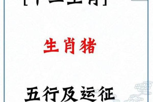2025年属猪人年龄解析你几岁了