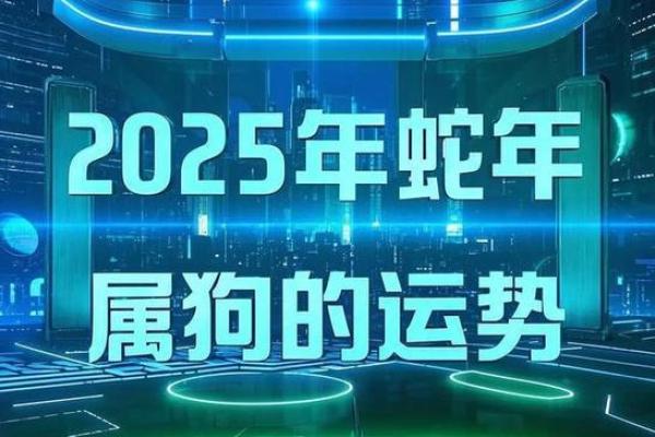 属狗人2025运势大爆发机遇与挑战并存