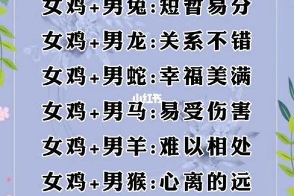 属狗和属虎的婚姻相配吗_94狗与98虎是几等婚配