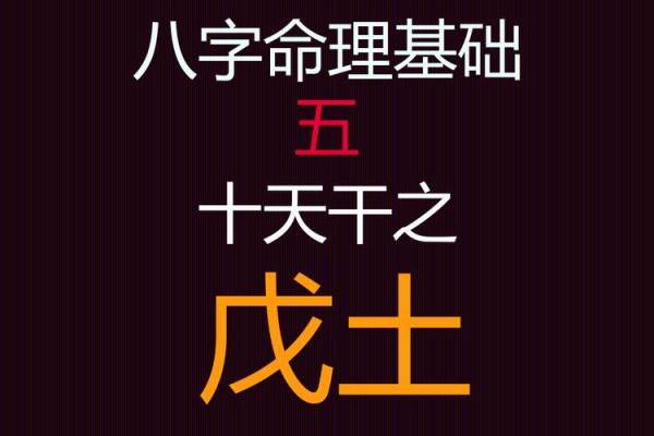 戊日不动土 戊日不动土
