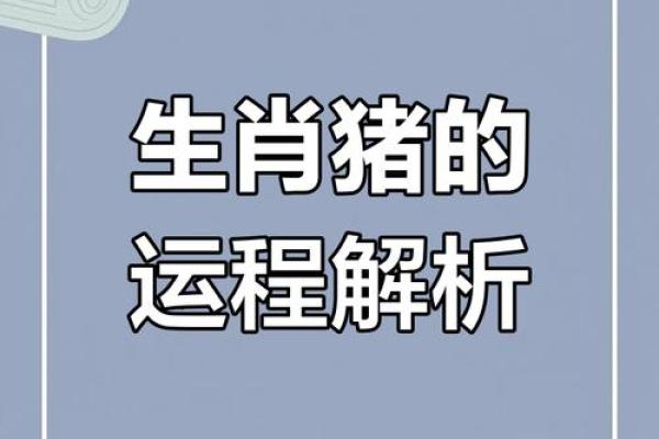 2025年属猪全年迲025年属猪人的全年运势女性_2025年猪人命运 2025年属猪全年迲025年属猪人的全年运势女性_2025年猪人命运