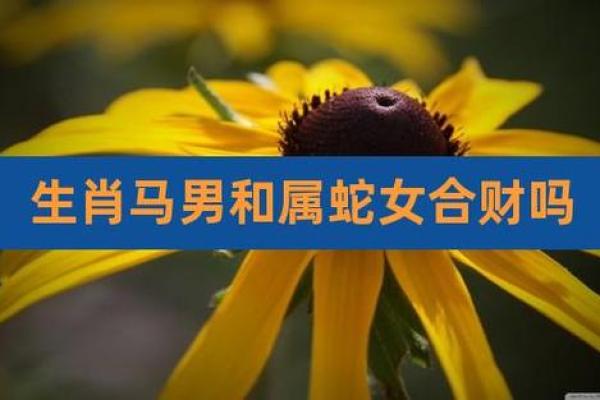 2002属马女最佳婚配_2002属马最佳配偶 2002属马女最佳婚配_2002属马最佳配偶