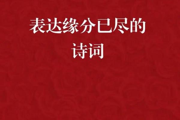 有缘分的诗句 说有缘分的诗