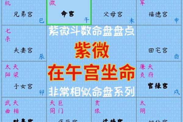 2025年2月24日寅时女命紫微斗数全解盘