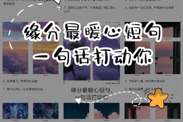 看缘分 看缘分如何让命运指引你的人生方向