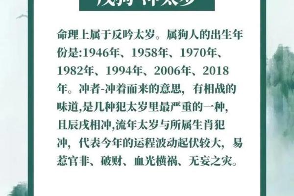 82年属狗的人2025年的运势及运程 2025年属狗人全年运势及运程