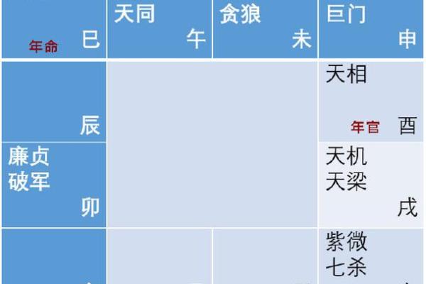 2025年3月28日丑时女命紫微斗数全解盘