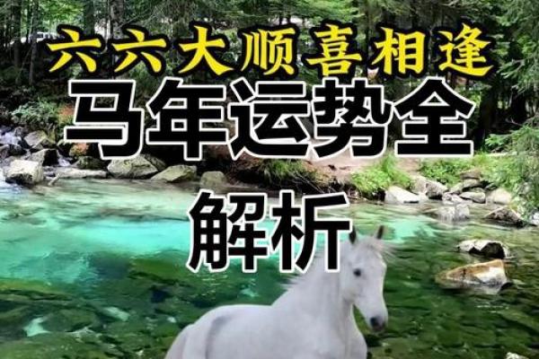 90年属马人今日运势_1990年属马人今日运势 90年属马人今日运势_1990年属马人今日运势