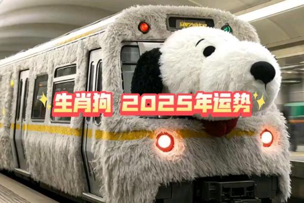 2025生肖狗82年运势_2025年生肖狗运势解析82年出生者运势大揭秘