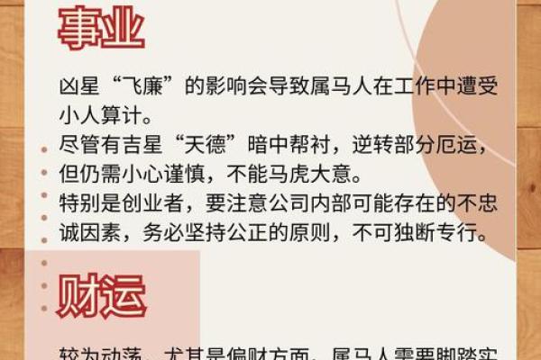 属马人2025年运势运程_78年属马人2025年运势运程 属马人2025年运势运程_78年属马人2025年运势运程