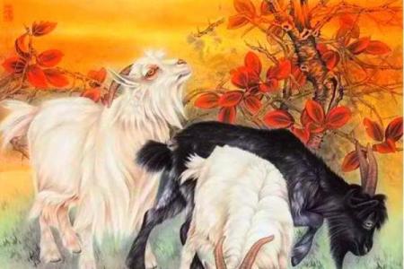 2025属羊最佳贵人是谁 羊的仇人是什么生肖