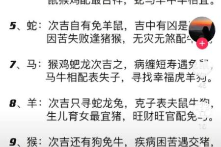 属狗2025年多大_属马2025年多大