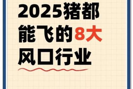 2025年属猪财运大揭秘如何把握财富机遇