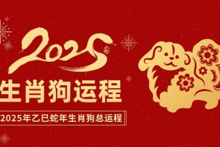 82年属狗的人2025年的运势及运程 2025年属狗人全年运势及运程