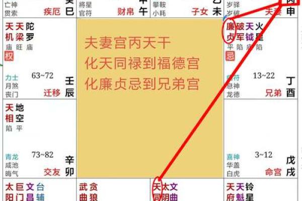 2025年3月3日寅时男命紫微斗数全解盘