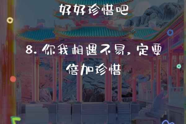 什么缘分让我们相遇揭秘命运的神奇安排