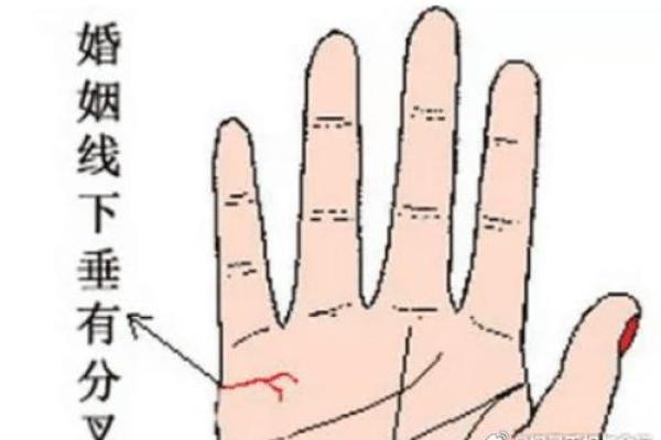 必嫁二婚夫的女命 必嫁二婚夫的女命特征解析与命运揭秘