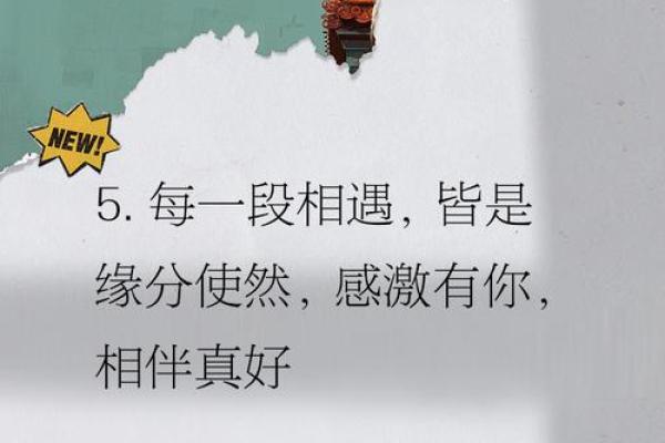 相遇即是缘分_相遇即是缘分完整版 相遇即是缘分_相遇即是缘分完整版