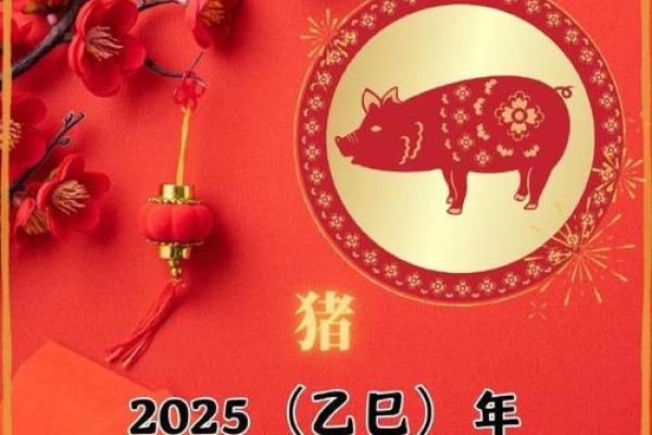 71属猪女2025年有大喜缠身_71年属猪女未来十年运势 71属猪女2025年有大喜缠身_71年属猪女未来十年运势