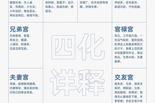 2025年2月17日卯时男命紫微斗数全解盘