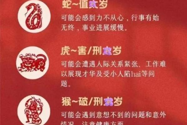 属猪的今年多大了2025年出生 属猪的人今年有多大 属猪的今年多大了2025年出生 属猪的人今年有多大