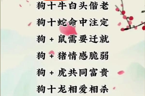 1970年属狗的最佳配偶_1970年属狗的最佳配偶是什么属相