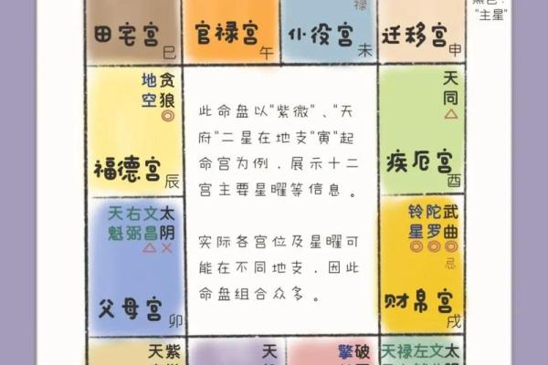 2025年2月22日卯时男命紫微斗数全解盘 2025年2月22日卯时男命紫微斗数全解盘